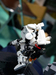 JBF2018_059.jpg